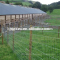 Small Animal Fence/Model Fence/Farm Iron Fence